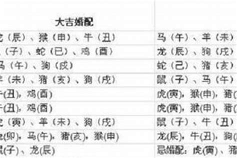 1997属相|生肖查询：1997年属什么生肖？配对